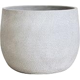 Olly &amp; Rose Barcelona Ceramic Plant Pot Large 25cm 10 Inch - Light Grey Off White Flower Pots - Indoor &amp; Outdoor Planters