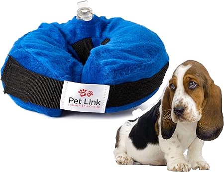 dog comfort cone