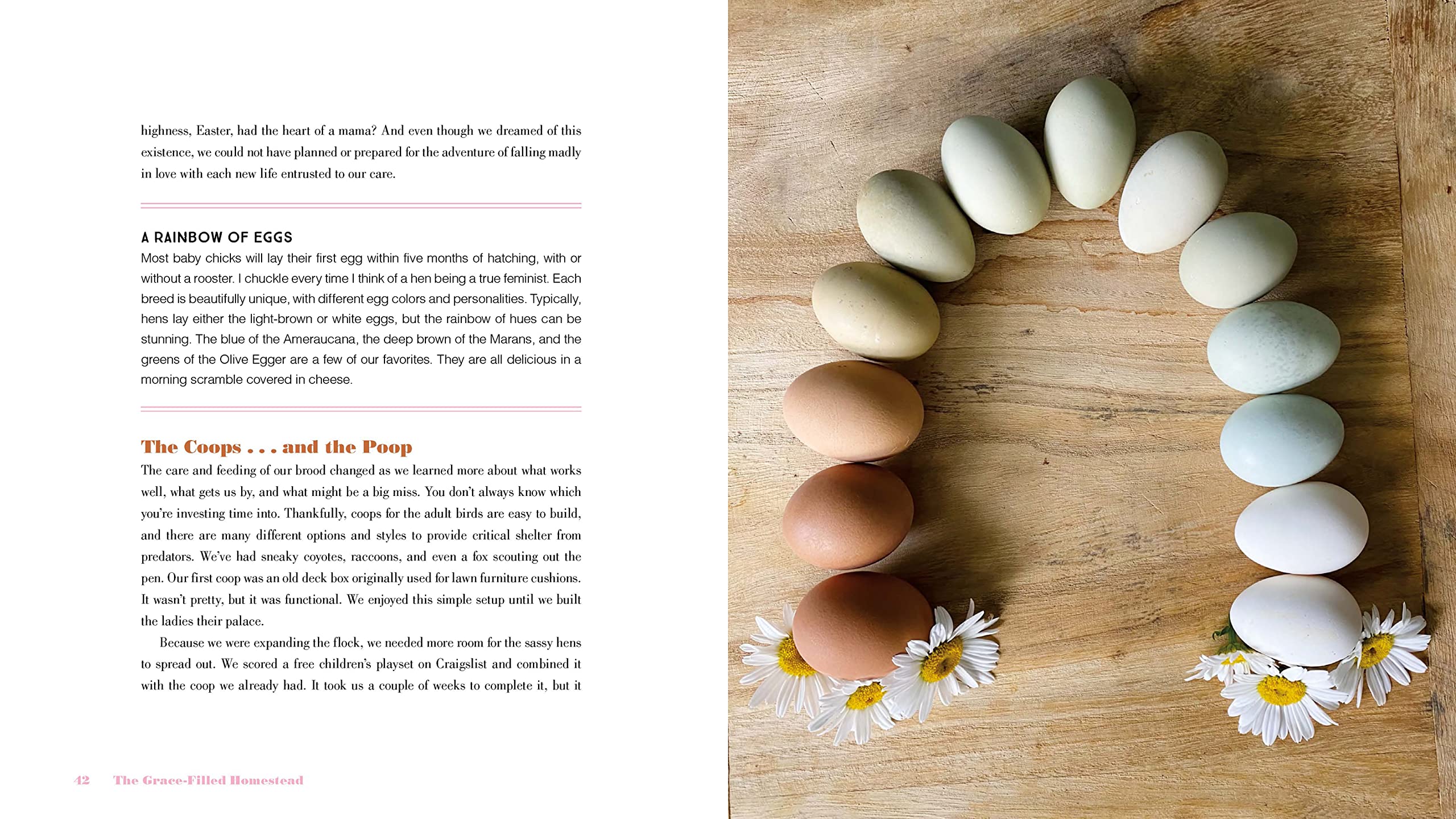 The Grace-Filled Homestead: Lessons I've Learned about Faith, Family, and the Farm