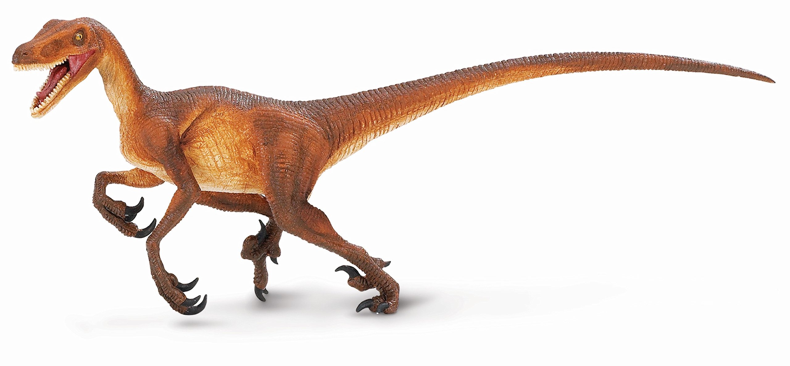 Allosaurus
