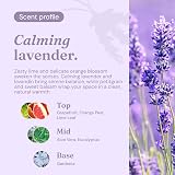 Miniml Natural Body Wash & Bubble Bath Calming Lavender 400ml view 4