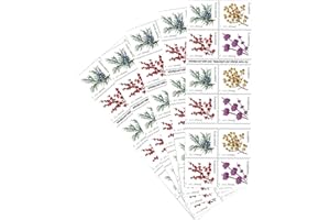 FQQF Winter Berries 5 Books of 20 First Class Forever US Postage Stamps Wedding Celebrate Engagement (100 Stamps)
