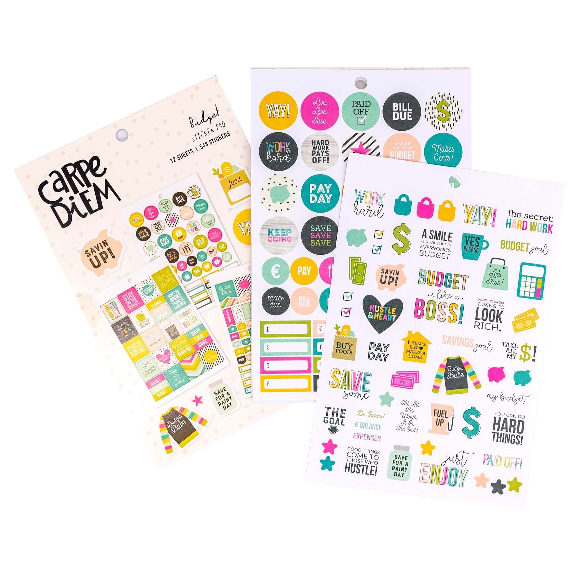 Pukka Pad, Carpe Diem A5 Sticker Tablet for Budget Planner – Includes 12 Sheets with 548 Stickers to Make Tracking Money and Managing Finances Fun and Fashionable – 8.2 x 5.5in