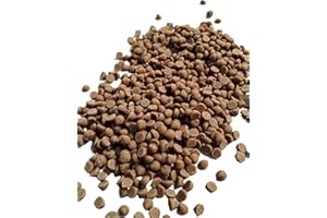 EMPORIUM CANDY TASTY TREATS FOR THE TUMMY Butterscotch Baking Chips - 1 lb of 2M Smooth Small Fresh Delicious Sweet Creamy Baking Drops