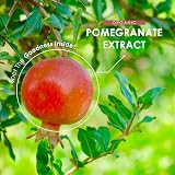 Alpha01 Organic Pomegranate Extract 20000mg Vegan Capsules 120 Count view 4