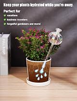 NiHome Iridescent Glass Cactus Self Watering Globes 2-Pack 4.7OZ 140 ML view 4