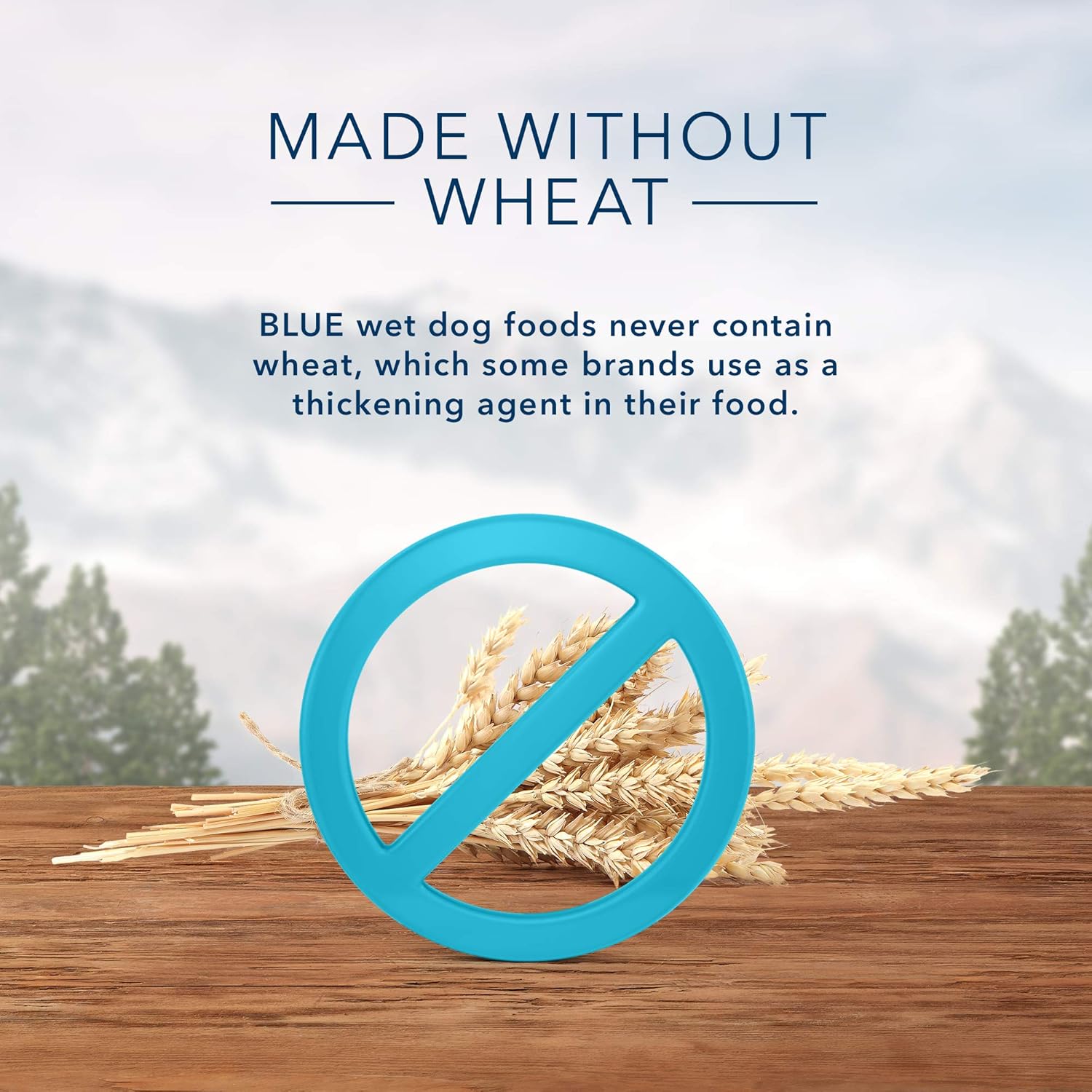 blue wilderness trail tubs