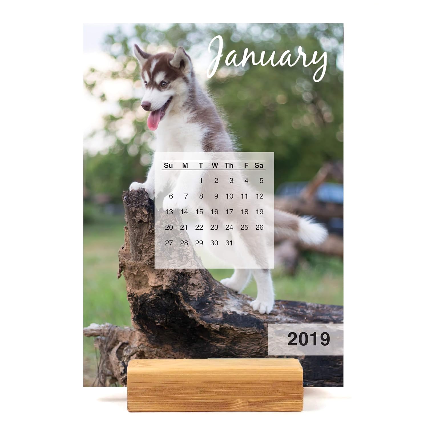 Best 2018 Puppy Desk Calendar