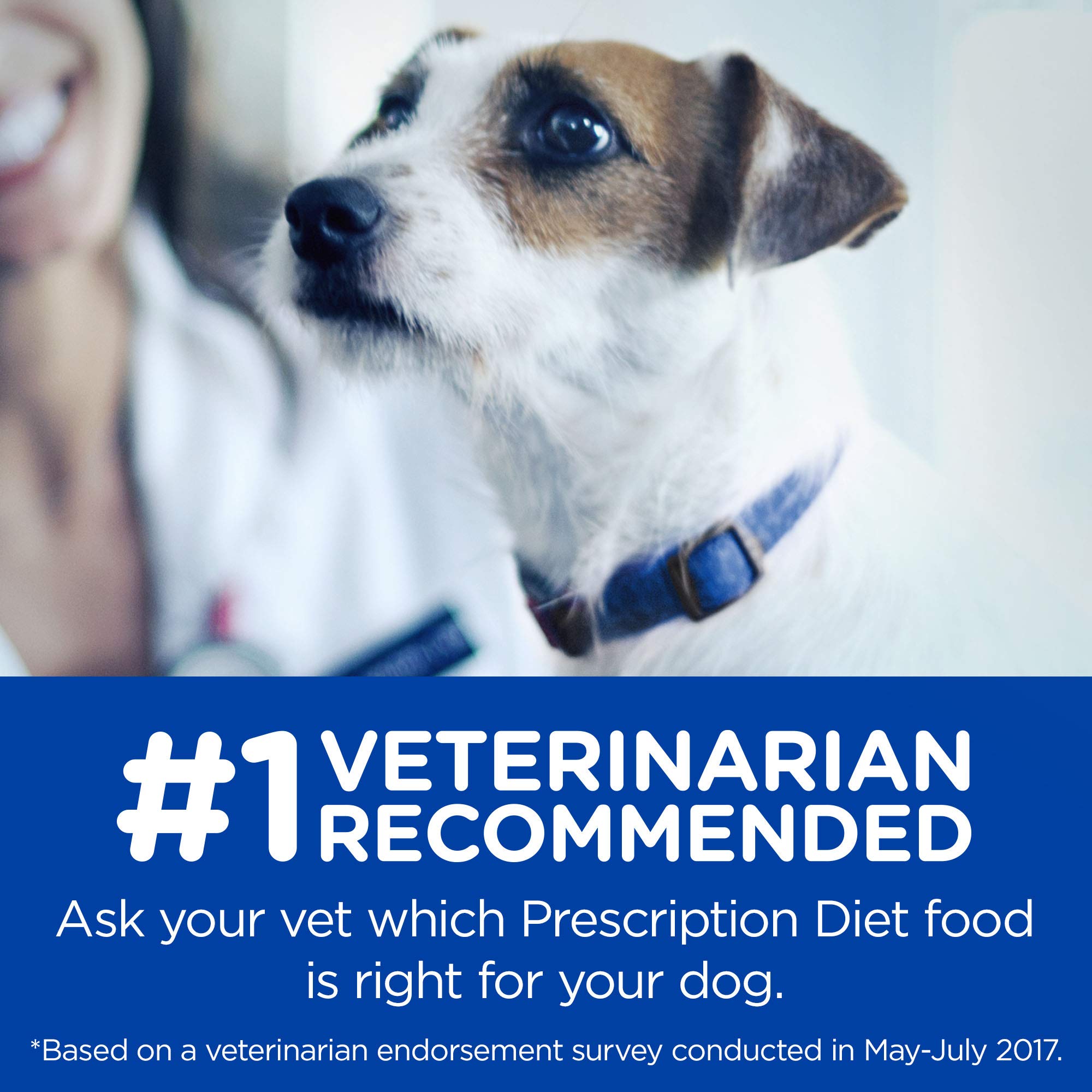 prescription diet food