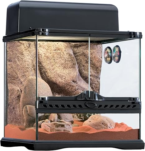 desert terrarium kit