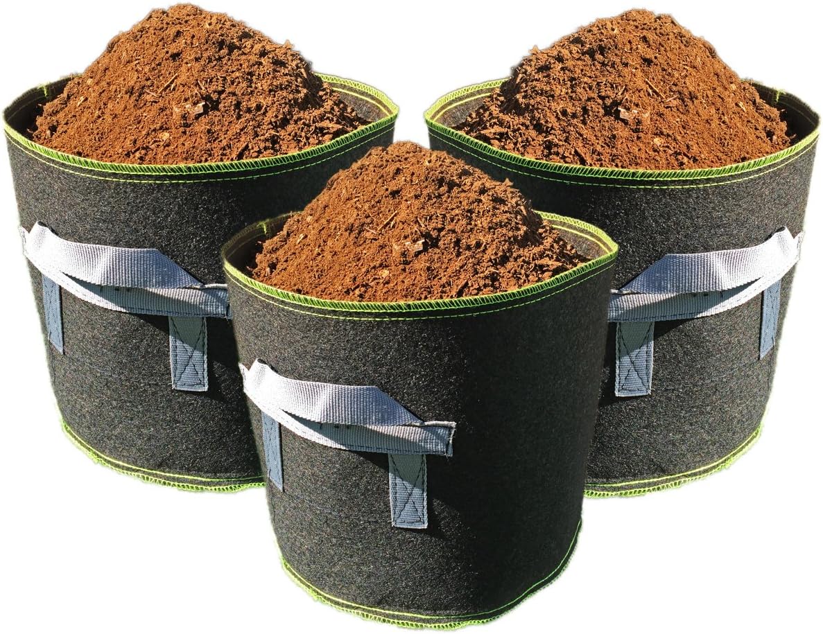 Dirt Bag Grow Bags, 4 Gallon Fabric Container (Pack of 3, Black Green Trim)
