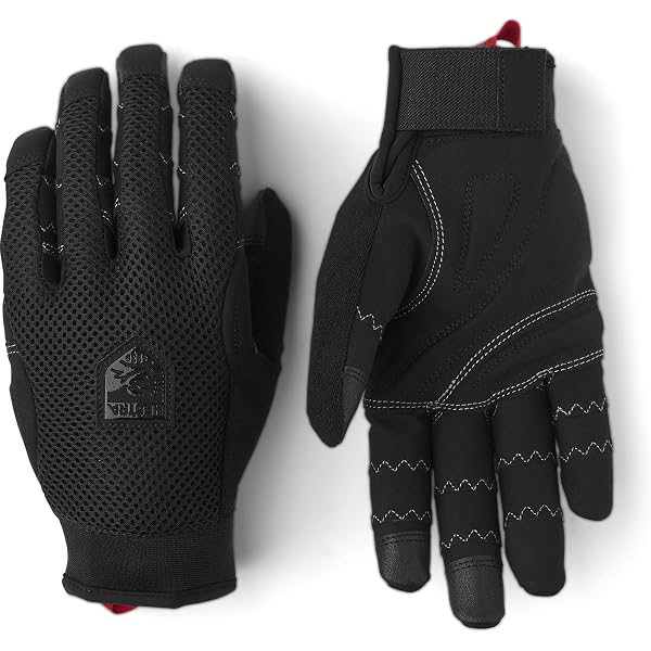 Ergo Grip Vertical cut レーシンググローブ サイズ6 Amazon.com: Hestra Ergo Grip Race Cut Non-Insulated Protective