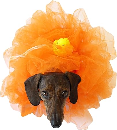 loofah dog