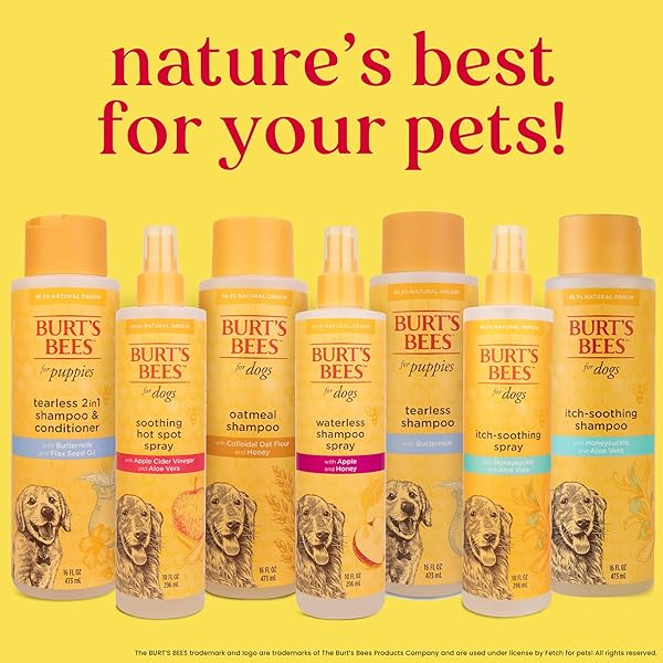 BURT’S BEES FOR PETS ITCH SOOTHING SHAMPOO WITH HONEYSUCKLE, 95% NATURAL ORIGIN FORMULAS, DOG SHAMPOO FOR ITCHY DOGS, DOG SHAMPOO ITCHY SKIN RELIEF, 16 OZ