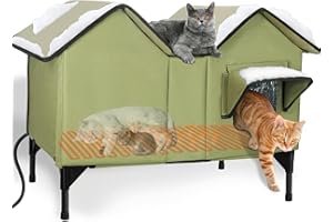 IPEAIN Extra Large Heated Cat House for Outside, Elevated Waterproof Outdoor Cat House Weatherproof for Winter, Insulated Outdoor Cat Shelter with Escape Doors and Heating Pad for Multiple Cats, Green