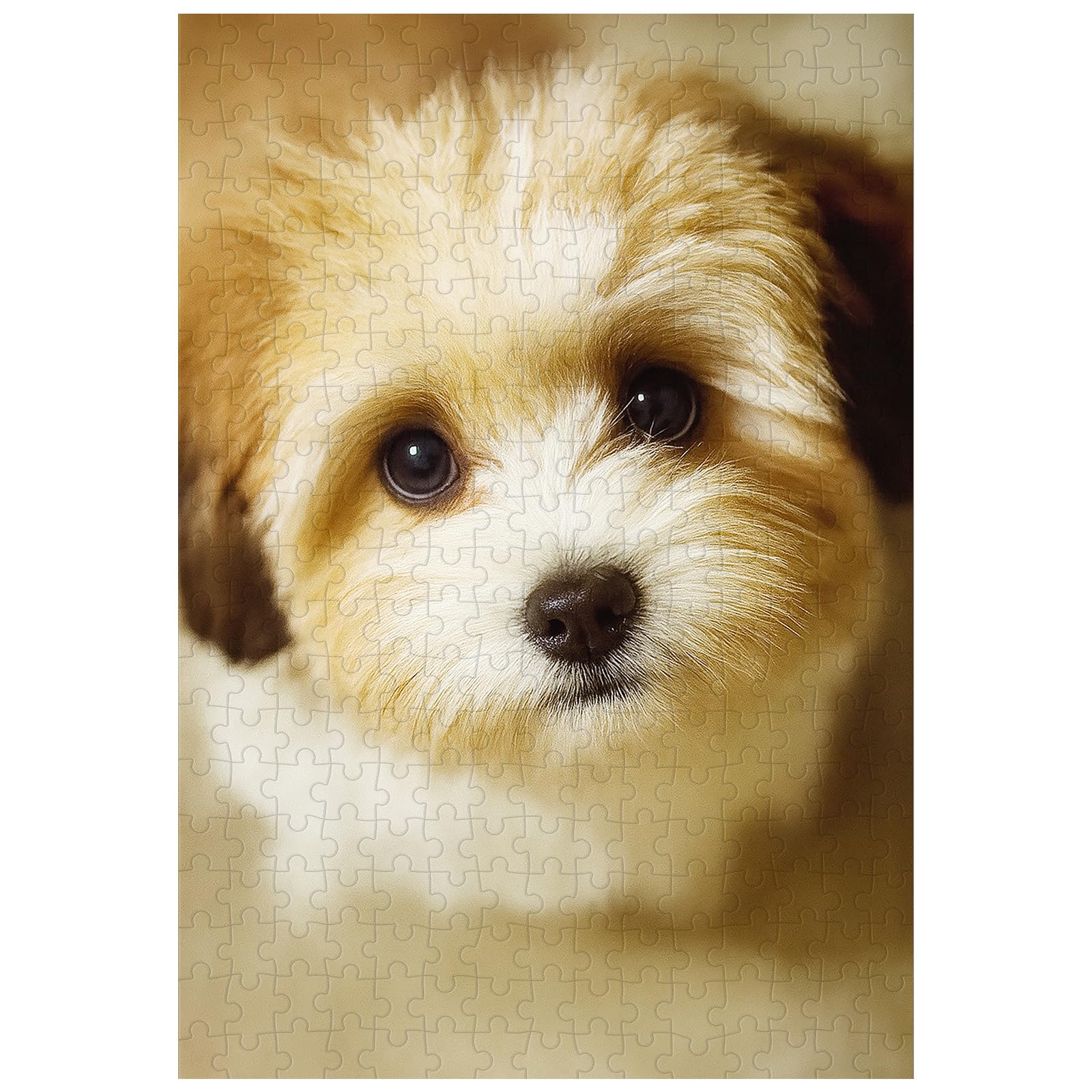 Great Jigsaw Puzzles for Adults 300 Pieces Vintage Shih Tzu Puppy Puzzles for Adults Toys Gift Family Decoration Kids Puzzle