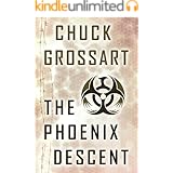 The Phoenix Descent