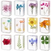 12 Pcs Real Pressed Flower Resin Paperweights - Botanical Specimen Collection for Home Desk Decor, Science Education, and Unique Display Supplies