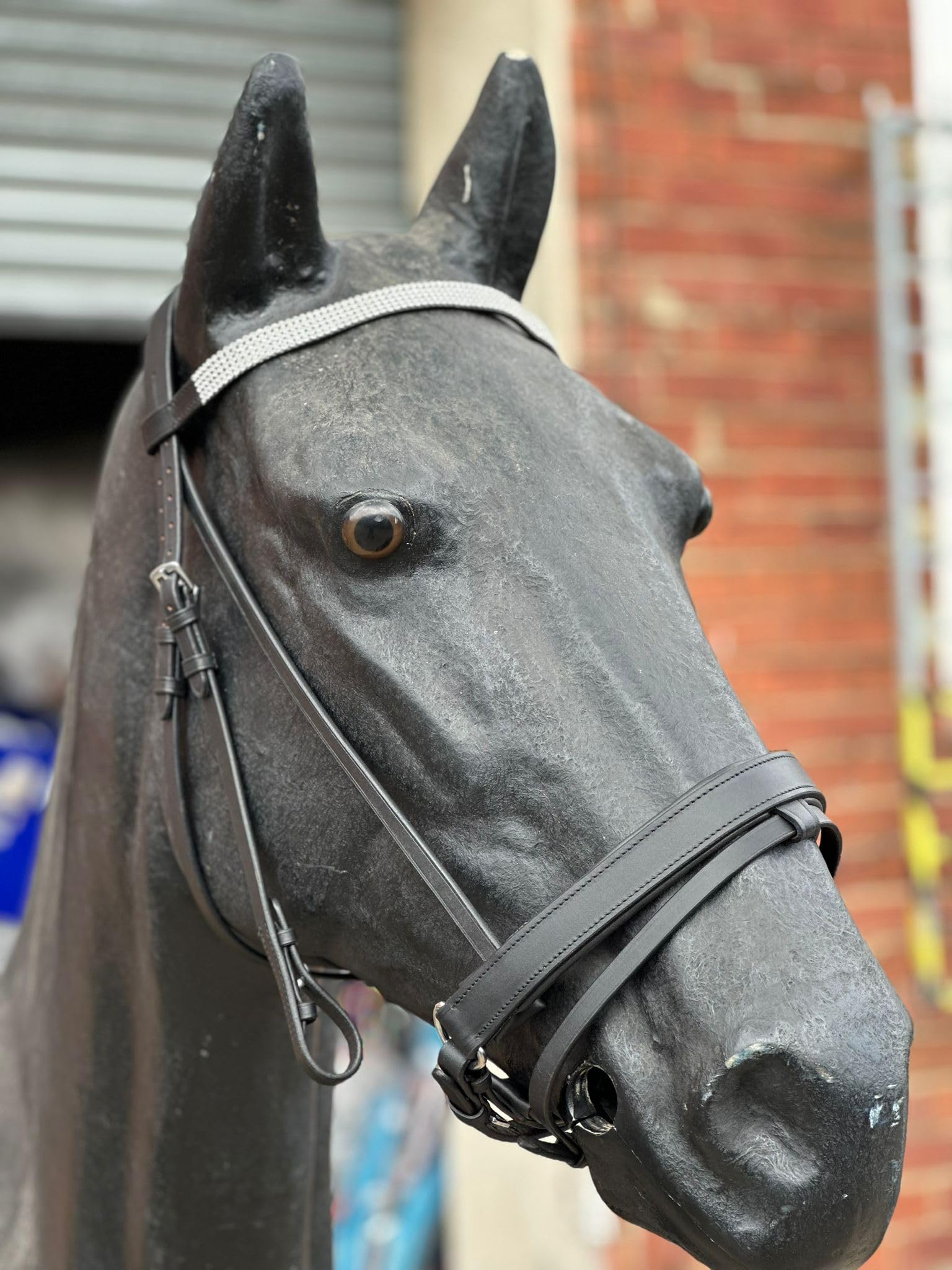 STARLIGHT LEATHER PADDED COMFORT BRIDLE WITH CRYSTAL BROWBAND FULL TO SHETLAND (Shetland, Black)