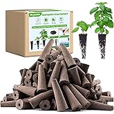 DRYADES Grow Sponges 50 Pack, Hydroponics Replacement Root Growth Sponges Compatible with Aero Garden iDOO and Most Other Brands