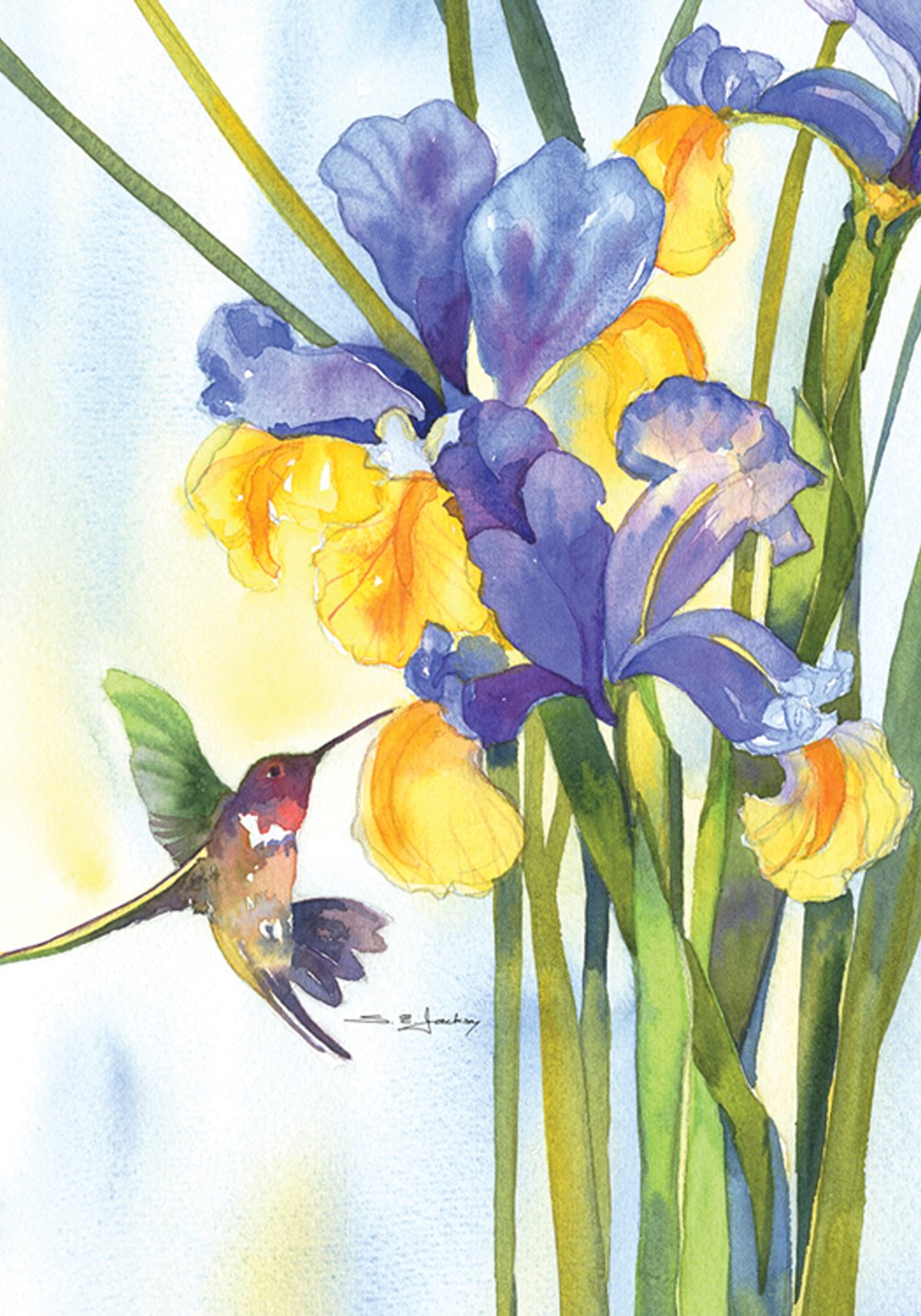Best Iris Flower Garden Flag