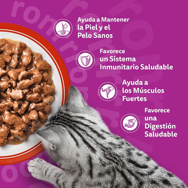 Duo Comida húmeda en Salsa Gatos Adultos Comb. Clásicas - 4 x 12 bolsitas x 85g
