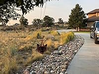 Review Image by Jamie MK Jamie MK