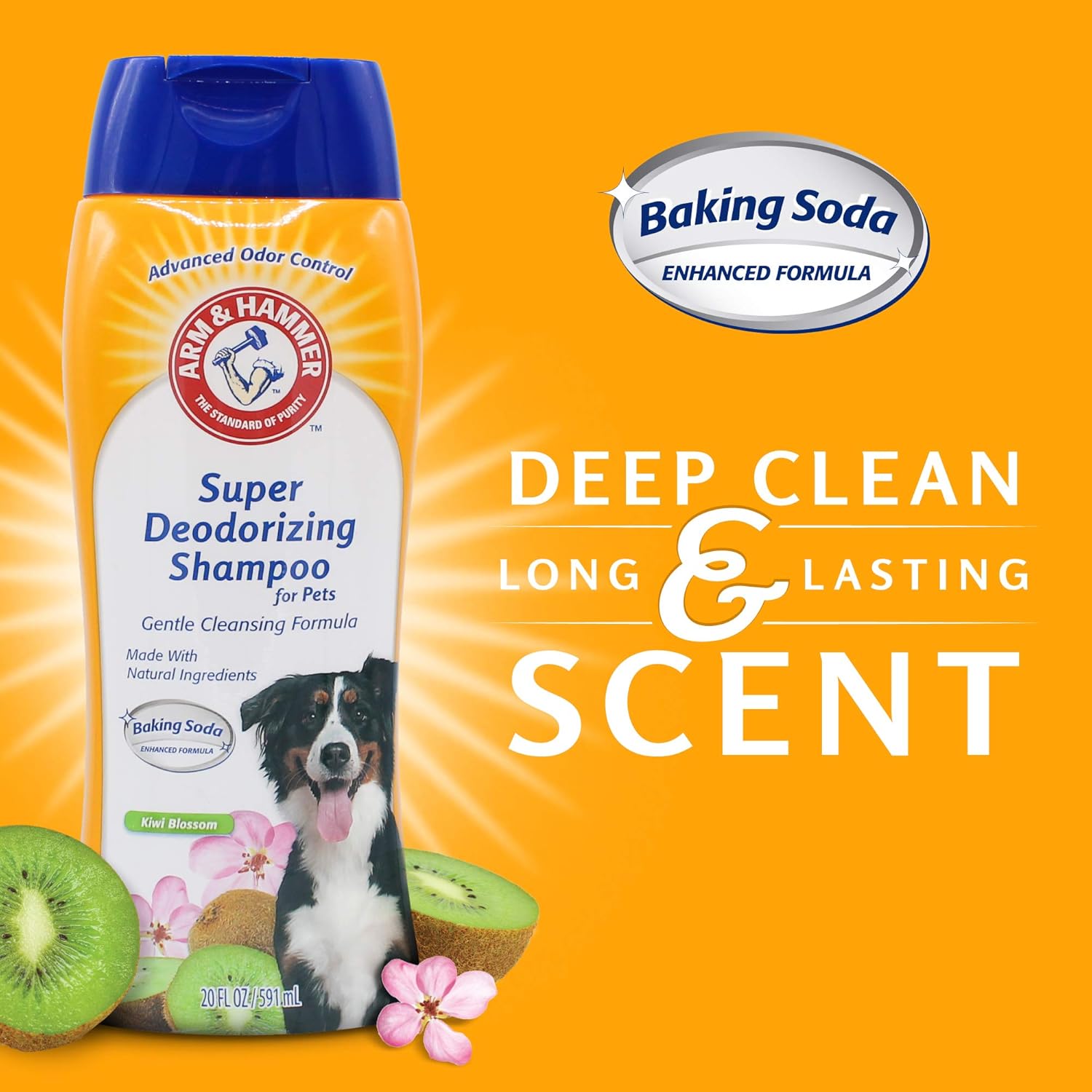 Arm & Hammer Super Deodorizing Shampoo for Dogs | Odor Eliminating Shampoo for Smelly Dogs & Puppies | Kiwi Blossom, 20 Ounces, White (FF10159)