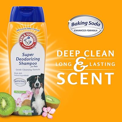 Buy Arm Hammer Super Deodorizing Shampoo For Dogs Odor Eliminating Best Dog Shampoo For Smelly Dogs Puppies Kiwi Blossom Scent 20 Fl Oz Arm And Hammer Dog