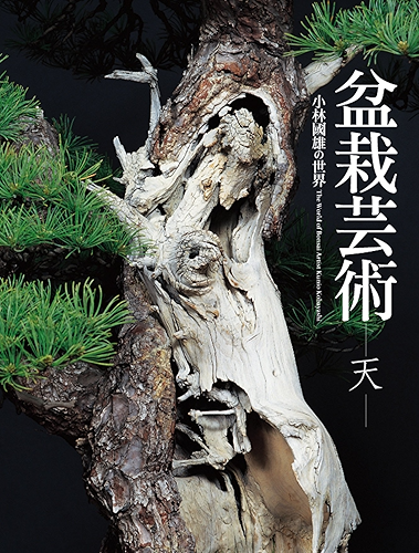 Download Spring (The world of Bonsai Artist Kunio Kobayashi Book 1) (English Edition) PDF