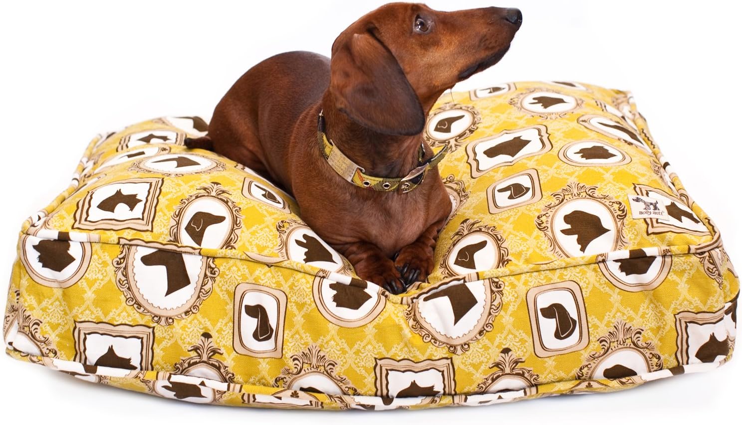 Molly Mutt Pictures of You Dog Duvet, Medium/Large Pet