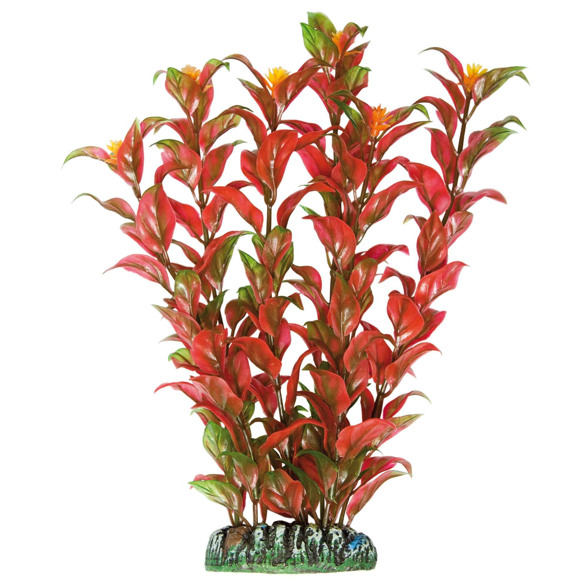 ICA Aquatic Plants AP1000 Alternanthera Plastic