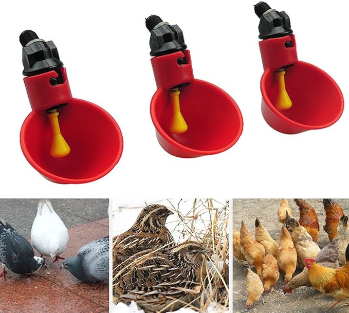 10 Pièces Automatique pour Volaille Tasses à Boire De leau De 
