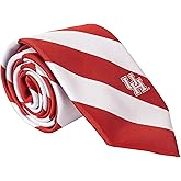 Desert Cactus University of Houston - Southeast Neck Tie UH Cougars 100% Polyester Necktie with Logo, Officially Licensed (Style A)