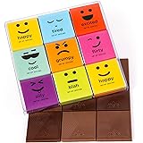 Moodibars Chocolate Candy Variety Pack | 18 Gourmet Assorted Individually Wrapped Milk & Dark Mini Samplers for Office | Emoj