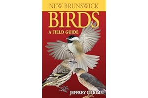 New Brunswick Birds: A Field Guide