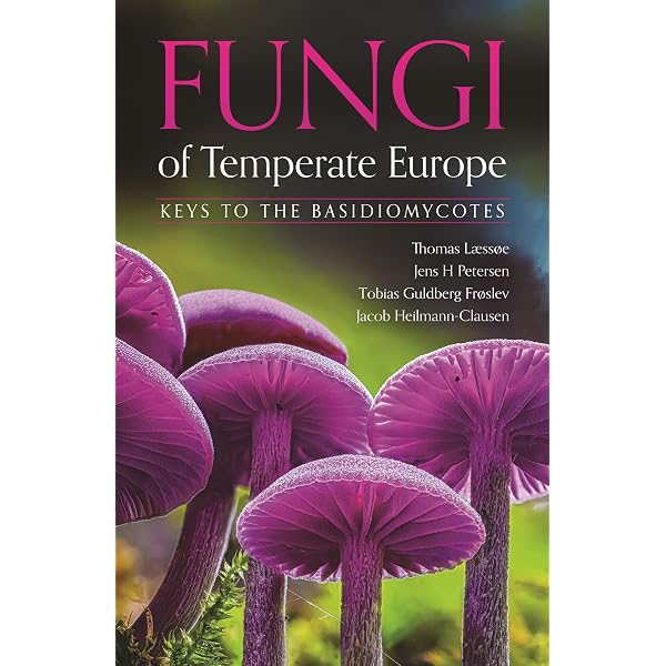 Fungi of Temperate Europe: Læssøe, Thomas, Petersen, Jens H