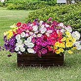 Neabuler Artificial Fake Flowers Plant for Outdoors, 12 Bundles Faux Morning Glory UV Resistant Look Real Silk Flowers for Outside Planter Front Door Porch Patio Yard Decoration, (6 Multicolor)