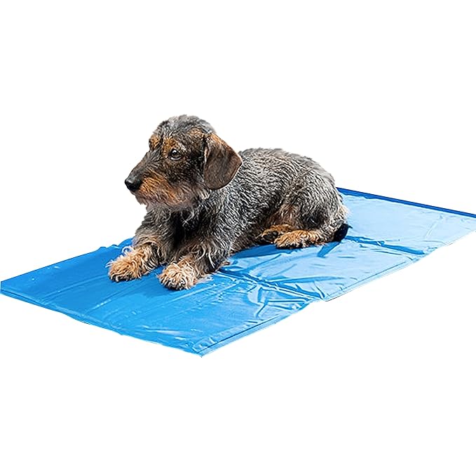 Oramics Premium Haustier Kühlmatte - 90 x 50 cm - für die Perfekte Abkühlung Ihrer Liebsten, Kühlmatte für Hund und Katze, Kü