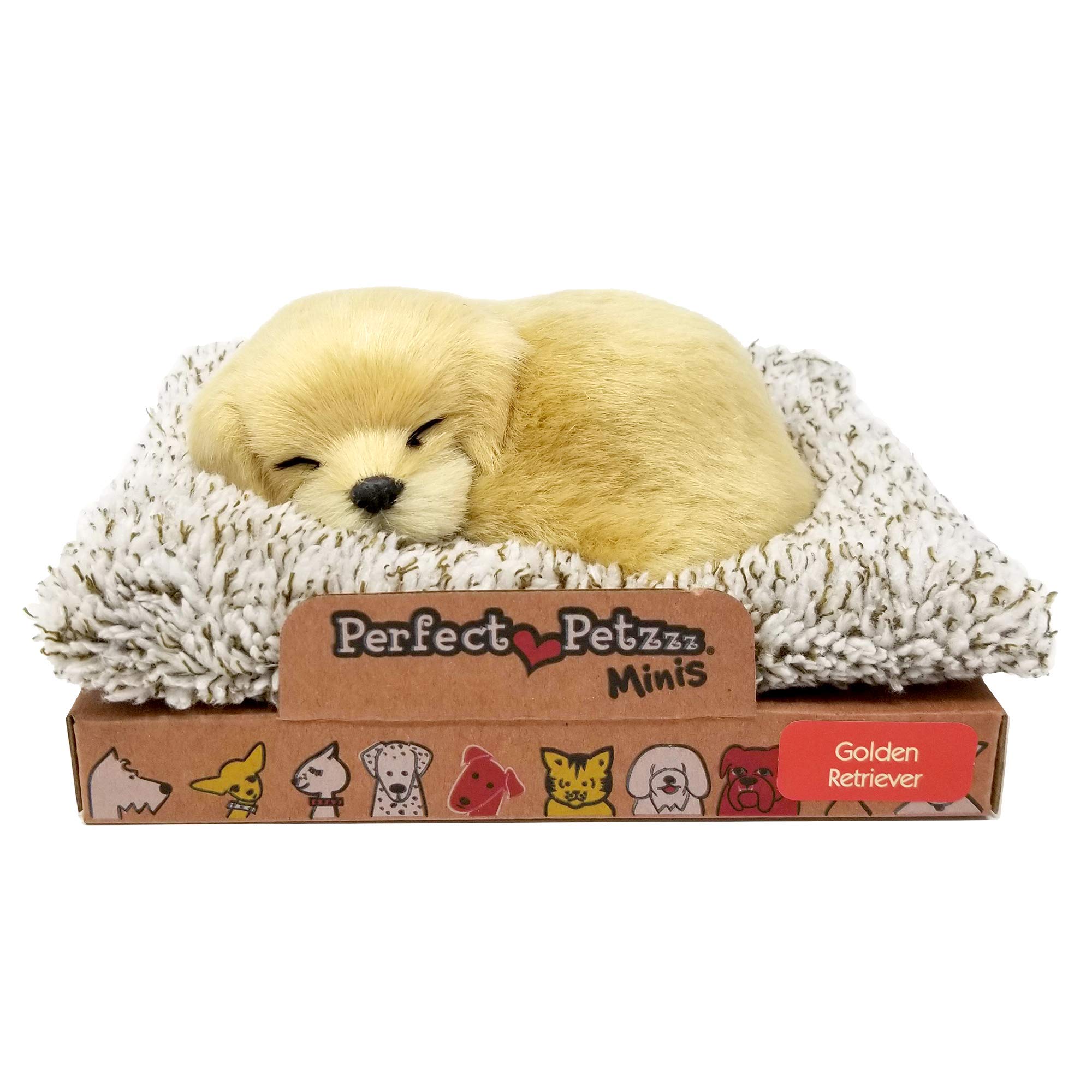 Adorable Mini Golden Retriever cm.14 Puppy That barking!