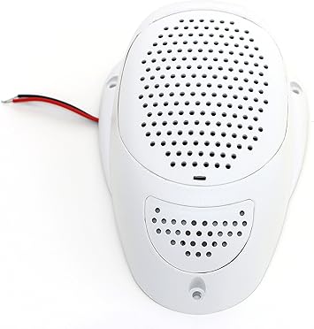 surface mount rv speakers