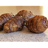 Taro Root, Whole Taro Roots, (8 Ounces Worth of Root) Taro Root is a Versatile Plant, Used as a starchy Vegetable or as a Perennial Tropical Ornamental Elephant Ear Plant. COOL BEANS N SPROUTS Brand.