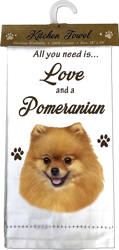 off white pomeranian