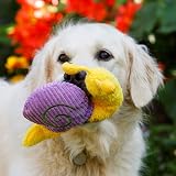 Petface Sassy The Snail Plush Dog Toy with Squeaker view 5