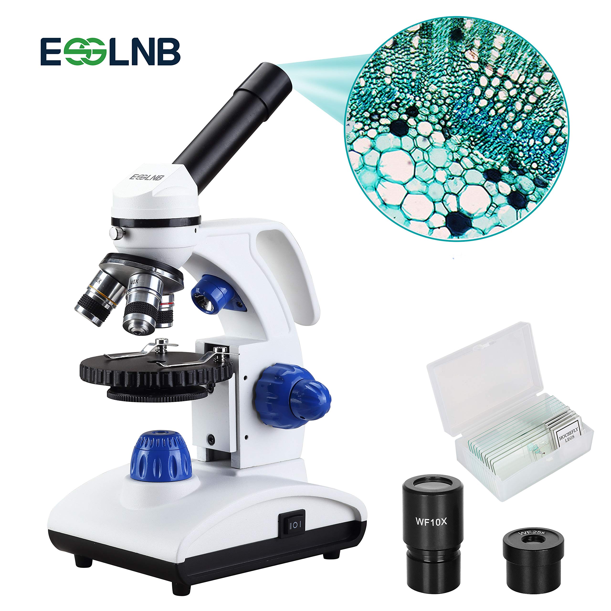 Slides LED Lamp Microscope 40X1000X Biological Microscope with Coaxial