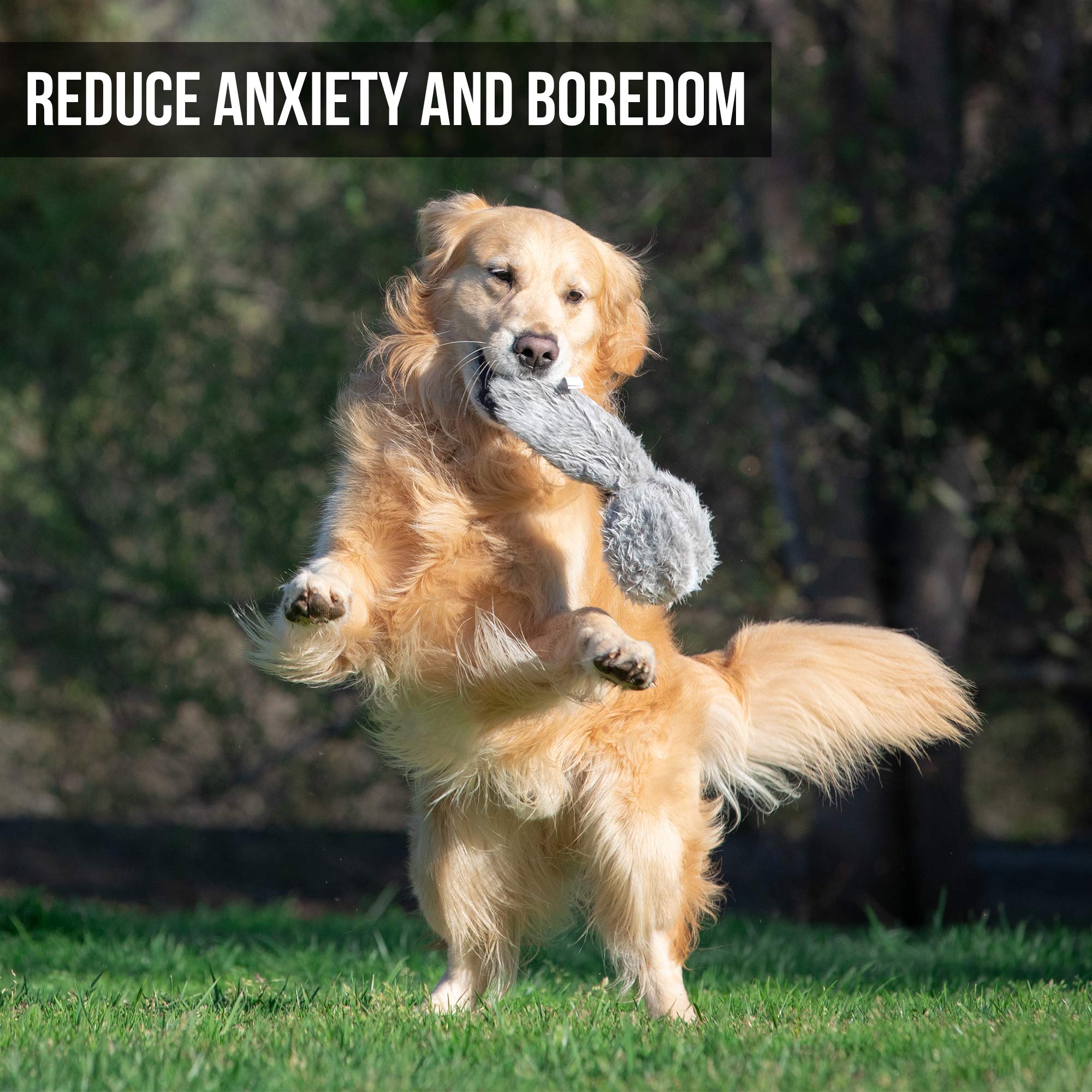 Hyper Pet Doggie Tail Interactive Plush Dog Toys (Wiggles, Vibrates