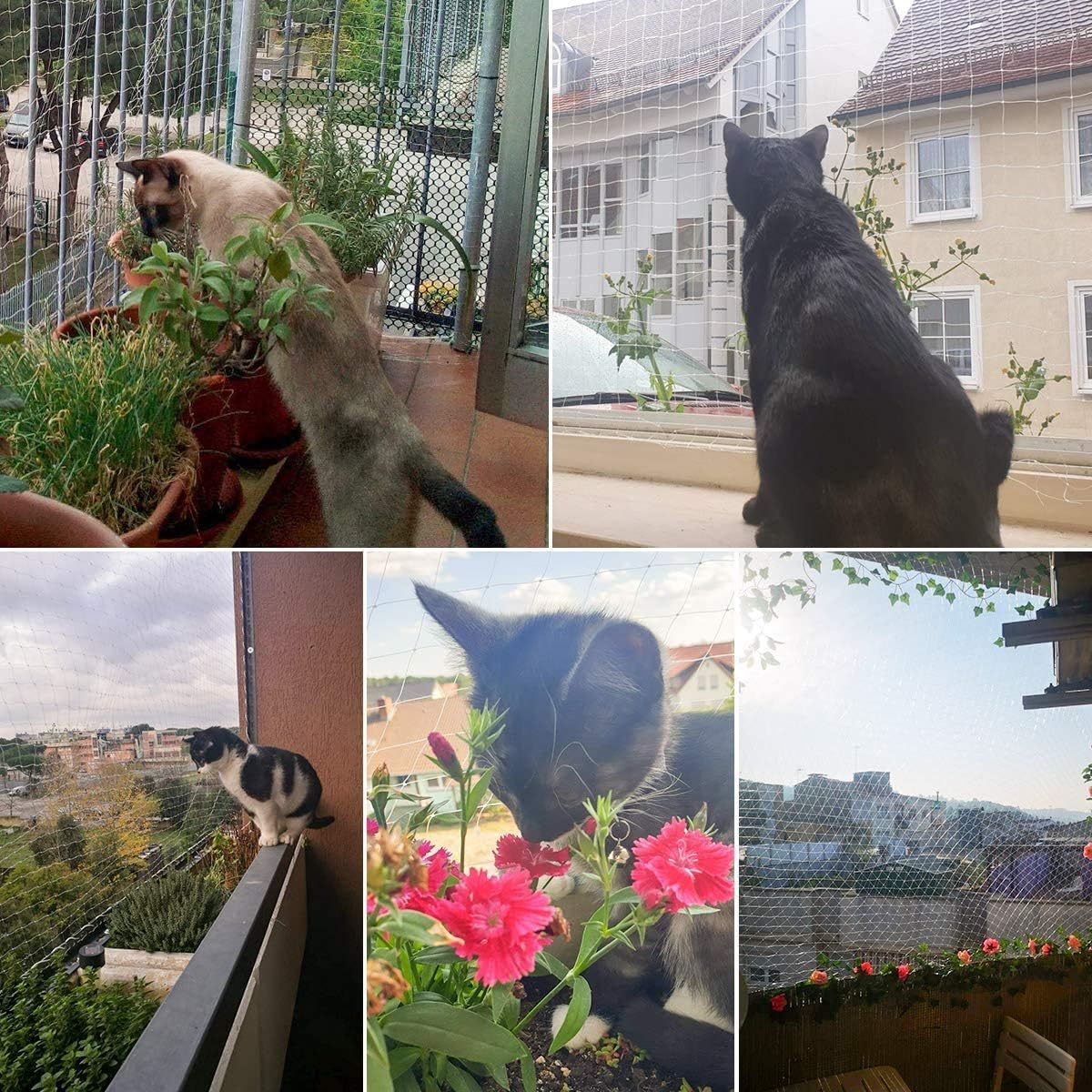 Focuspet Filet De Protection Pour Chat 8 X 3 M Filet De Protection Transparent Filet De Securite Pour Chat Filet De Protection Fenetre Pour Chat Pour Balcon Fenetres Amazon Fr Animalerie Focuspet Filet De Protection Pour Chat 8 X 3 M Filet De Protection Transparent Filet De Securite Pour Chat Filet De Protection Fenetre Pour Chat Pour Balcon Fenetres Amazon Fr Animalerie