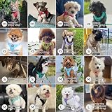BELLA & PAL Dog Harness and Leash Set XXS Khaki Breathable Reflective view 5