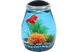 SW PRODUCTS 2-Gallon Fish Tank with LED Lighting and USB Cord, Ultra Clear Impact-Resistant Plastic Fish Bowl for Betta/Nano/Goldfish