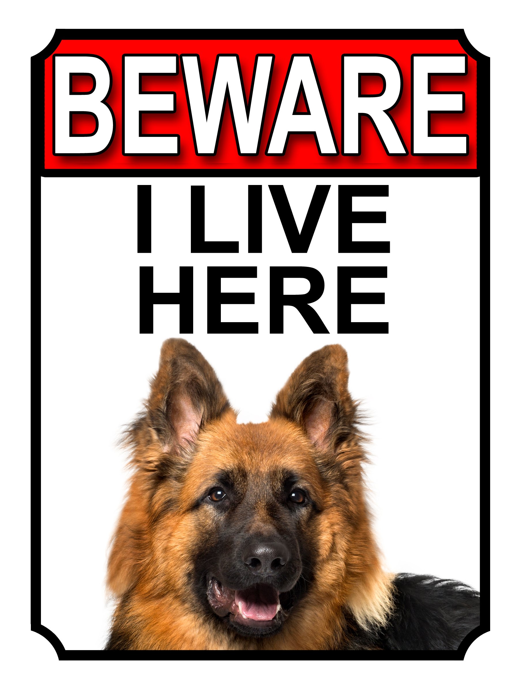 Shawprint BEWARE I LIVE HERE METAL GATE SIGN GERMAN SHEPHERD 200MM X 10MM (1065H1)